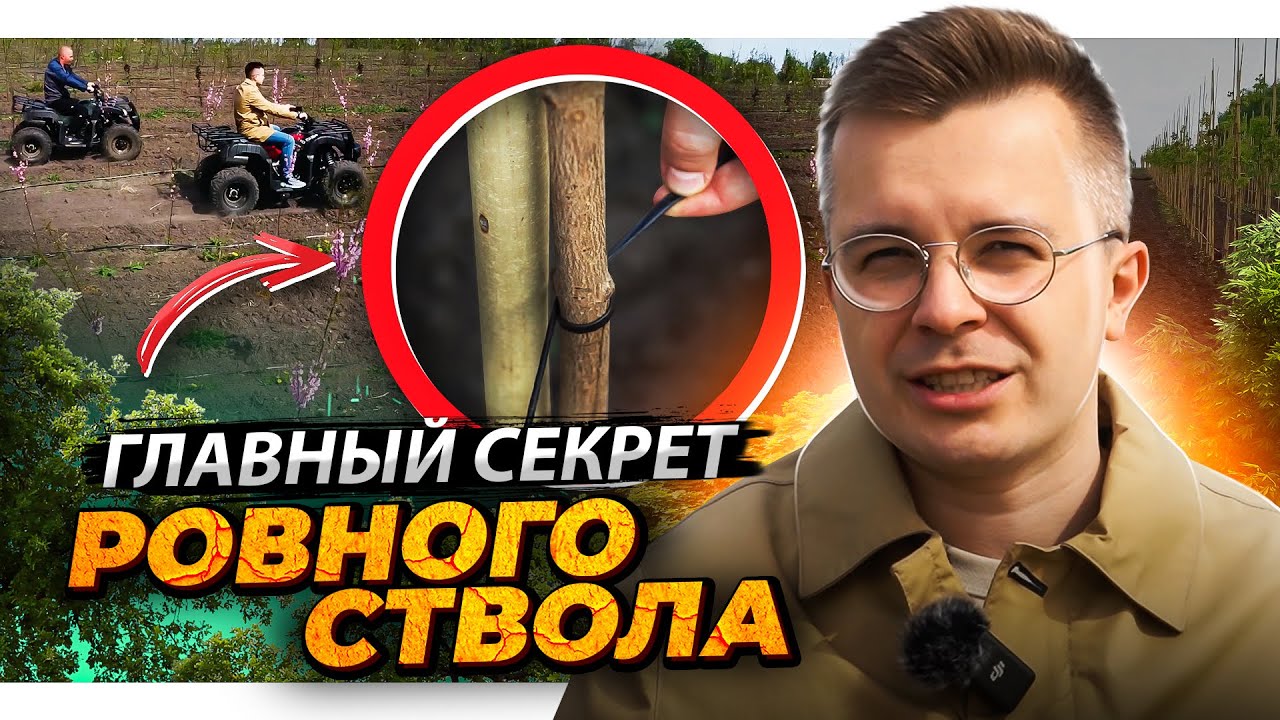 о садовых центрах