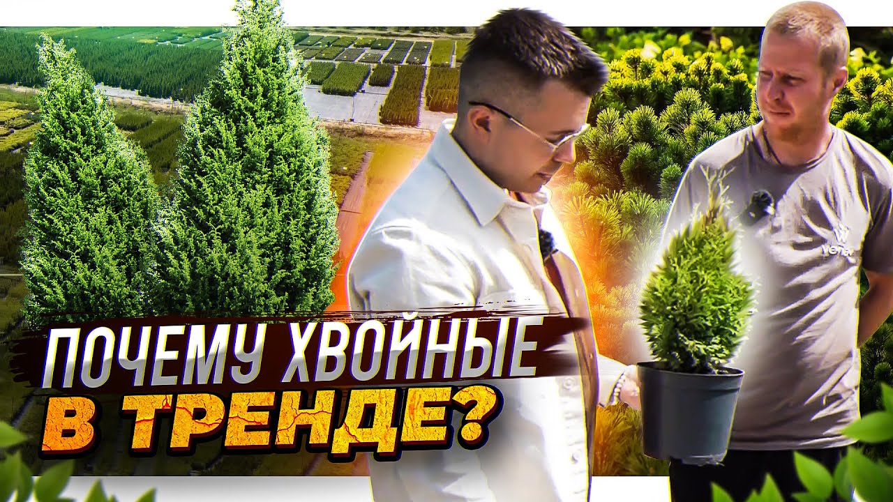 о садовых центрах