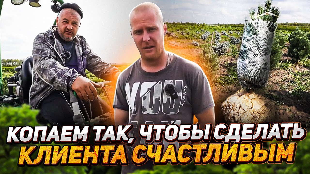 о садовых центрах