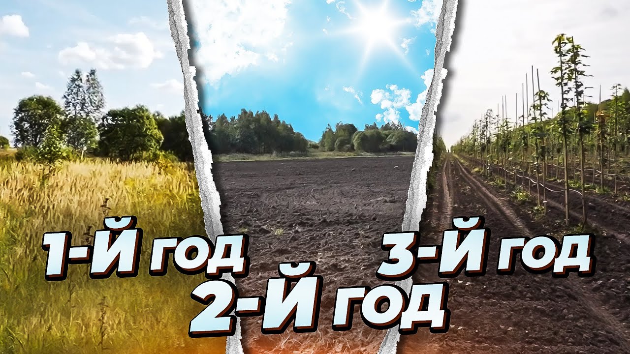о садовых центрах