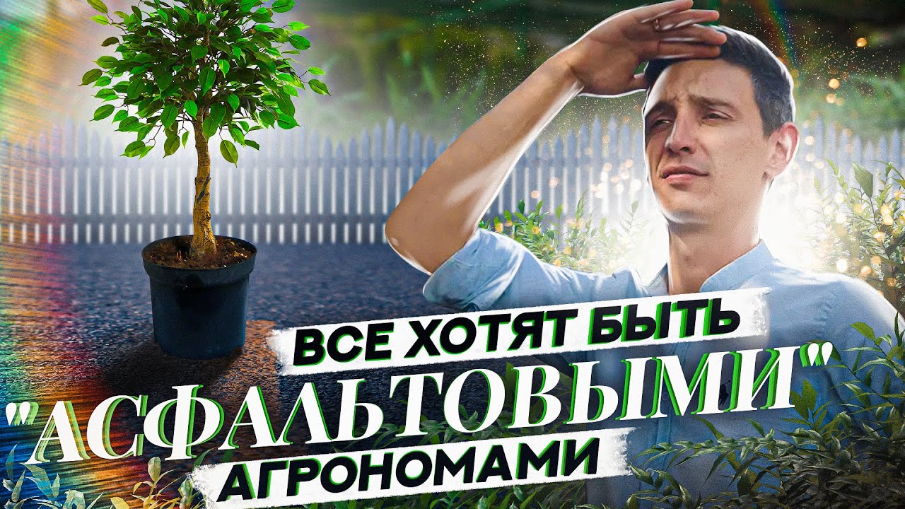 о садовых центрах
