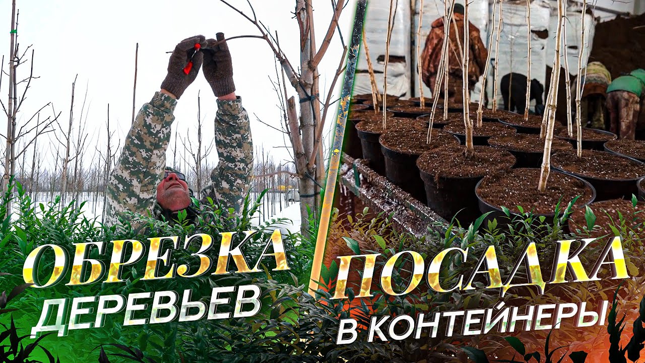 о садовых центрах