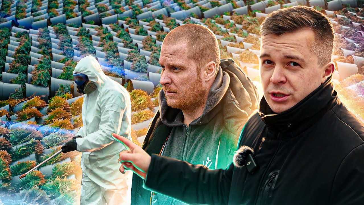 о садовых центрах